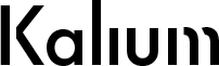 Bizjet SA